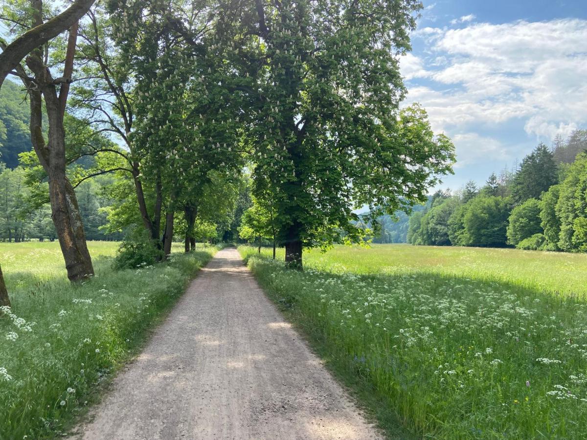 Alter Kornspeicher Ermsleben Buitenkant foto